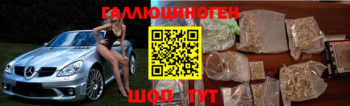 Алушта  Галлюциногенные грибы Cubensis  наркота  Вход с VPN 